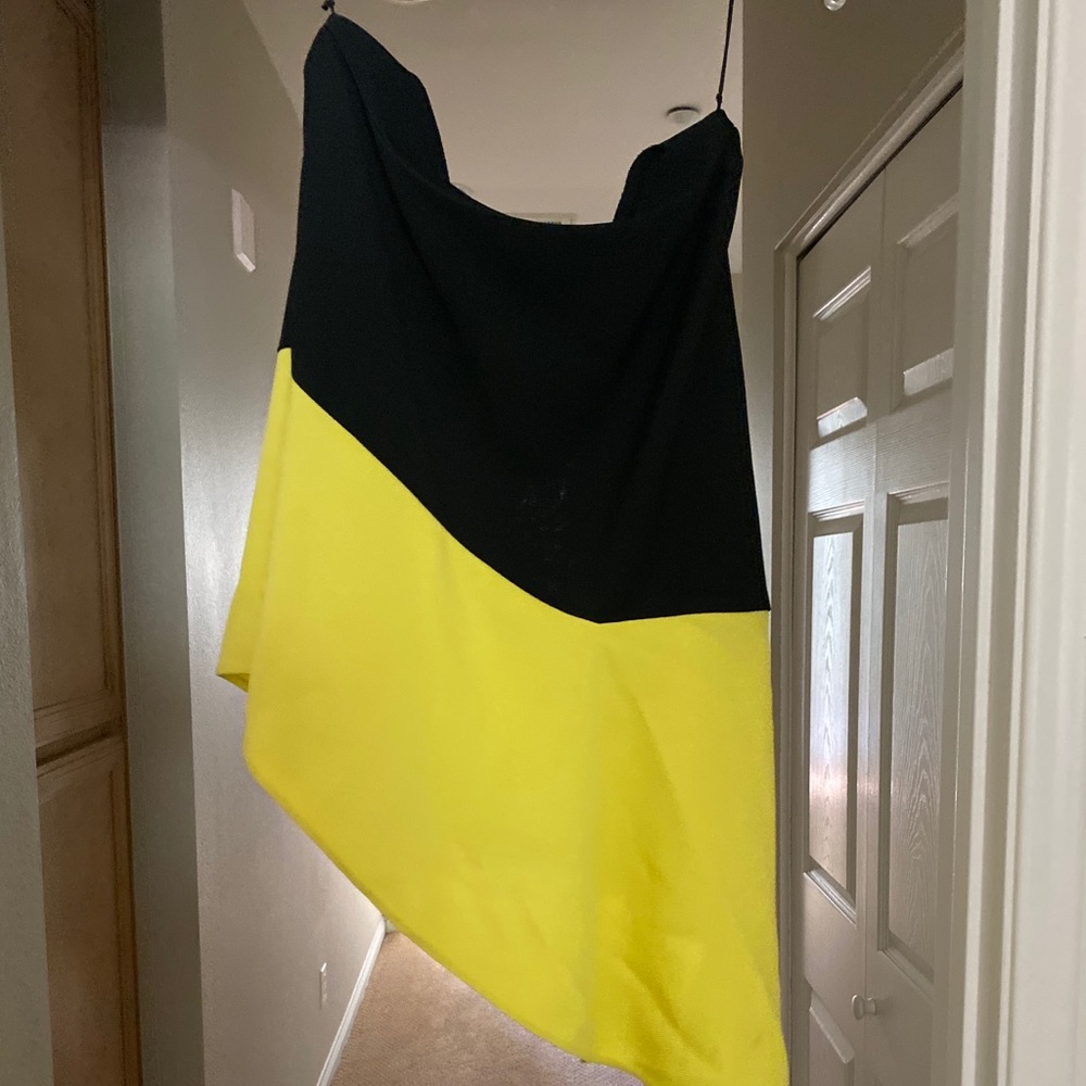 Balenciaga Skirt